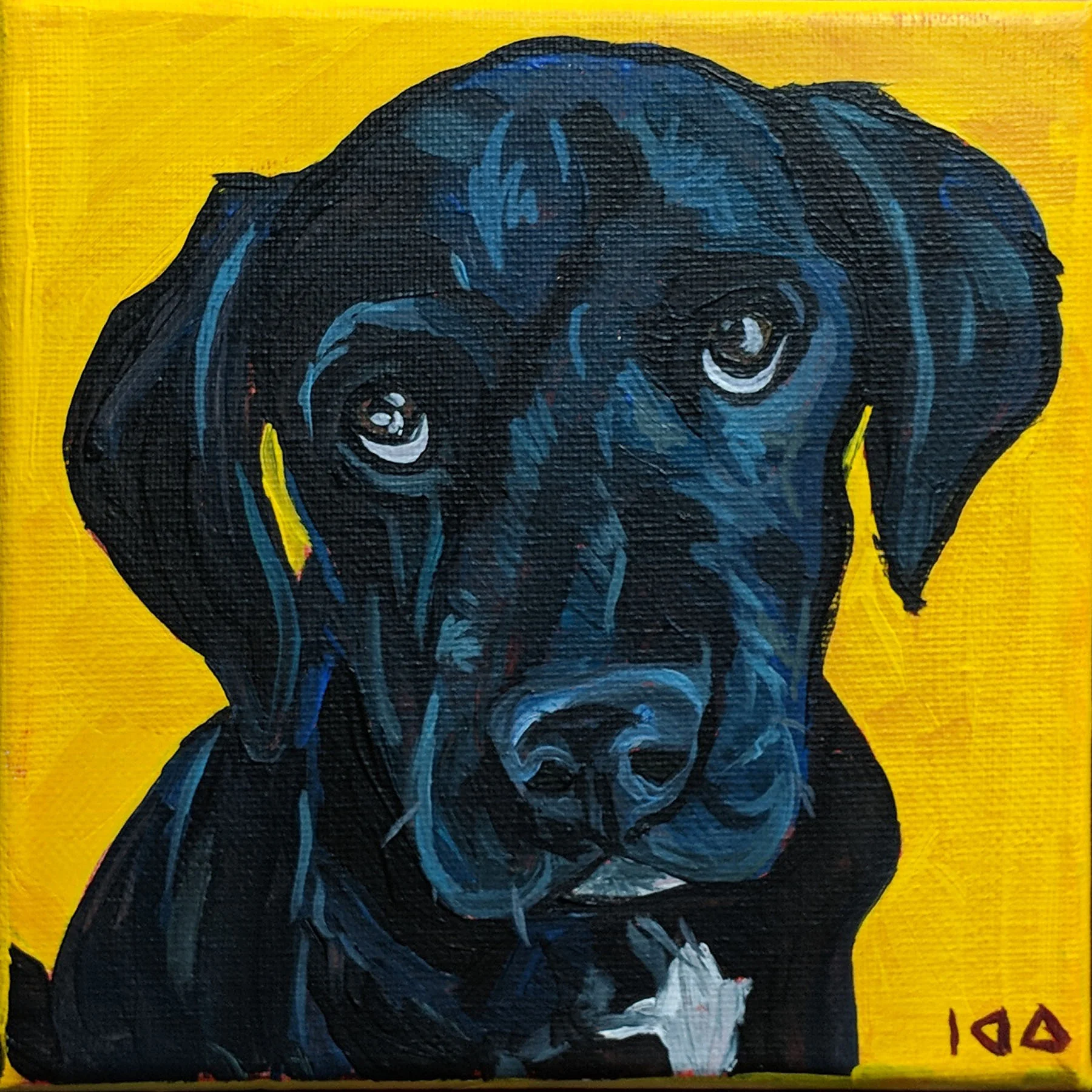 Dog787.jpg