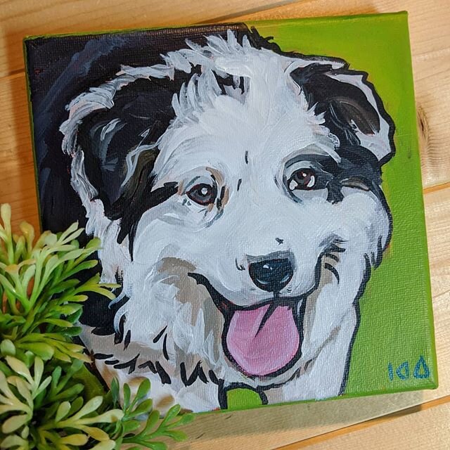 #petportrait #painting #dog #dogsofinstagram  #dogs #petpainting #petsofinstagram #pets #petstagram #artofinstagram #happyholidays #acrylic #art #arts #kendraaldricharts#petart #petartist #pnwpainter