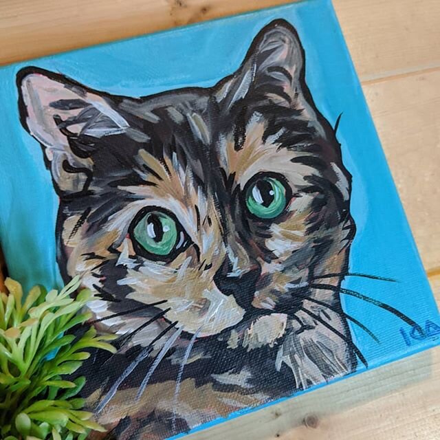 #petportrait #painting #cat #catsofinstagram  #cats #petpainting #petsofinstagram #pets #petstagram #artofinstagram #acrylic #art #arts #kendraaldricharts#petart #petartist #pnwpainter