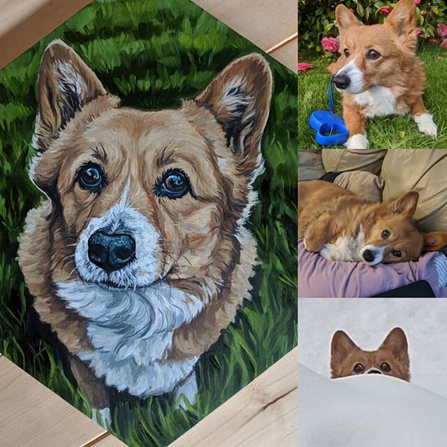 Happy Birthday to this amazing Corgi, I can't believe she is 12 now! //
#corgisofinstagram #corgi #birthday #oilpaintingart #petportraits #kendraaldricharts