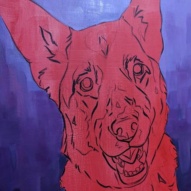 Have a few commissions to work through! Usually I don't share them on here just in case they are a surprise, I think I am okay in sharing the WIP on this one! //
#workinprogress #wip #germanshepherd  #paint #painting #kendraaldricharts #acrylicpainti