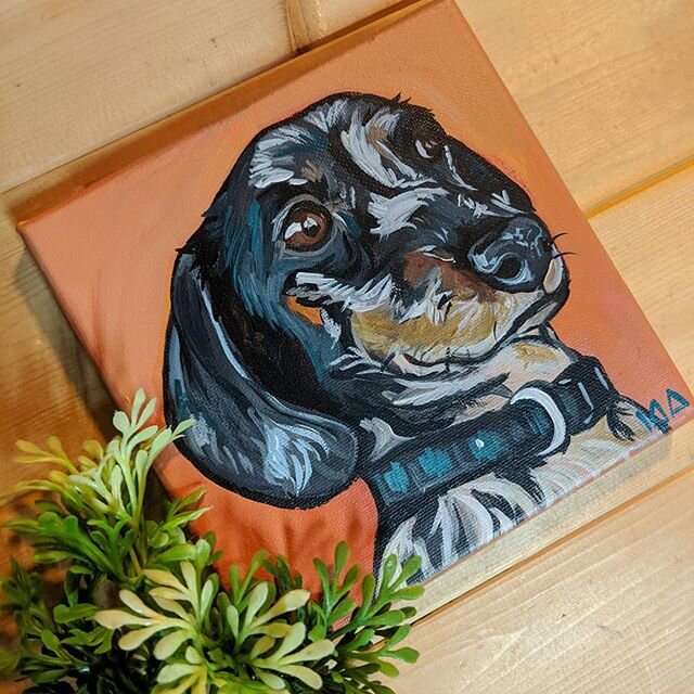 Such a cutie 😍
// #acrylic #painting #petart #petportraits #dachshund #dachshundsofinstagram #orange #petpainting #fineart #paint #art #pets