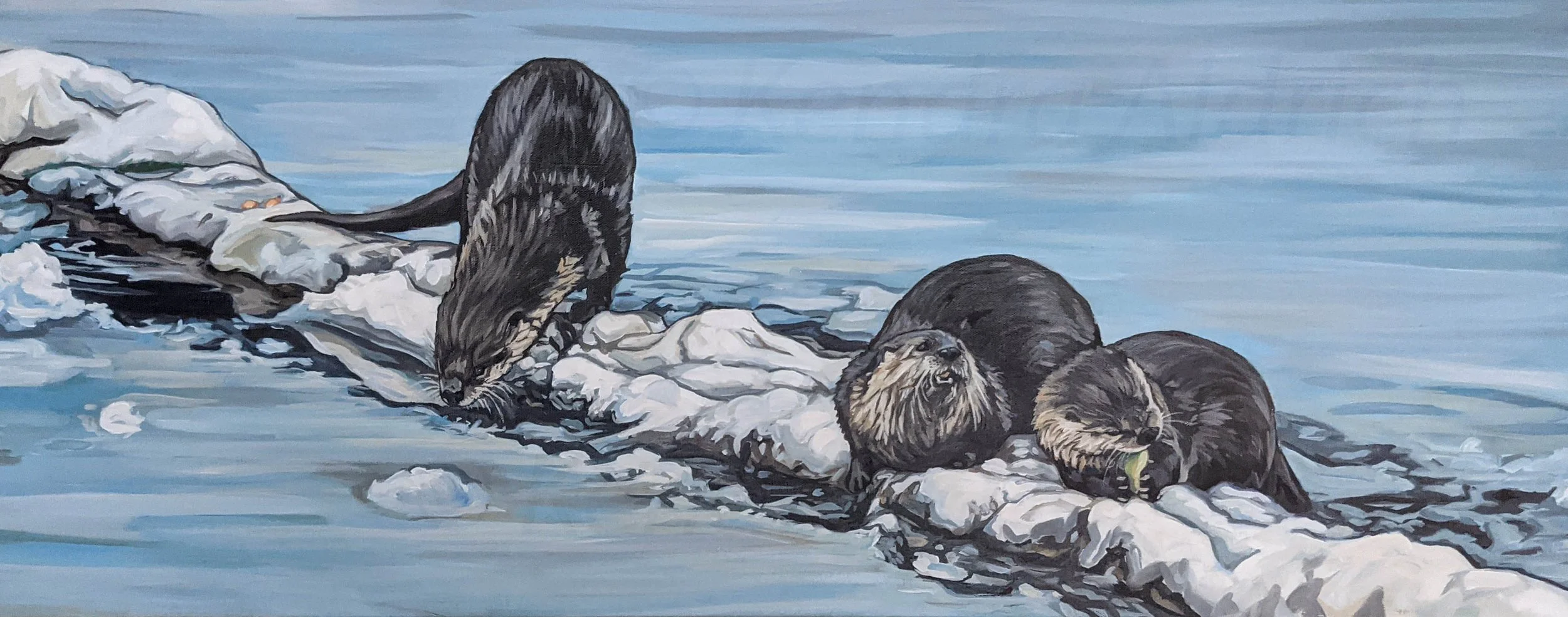 Group of Otters C.jpg
