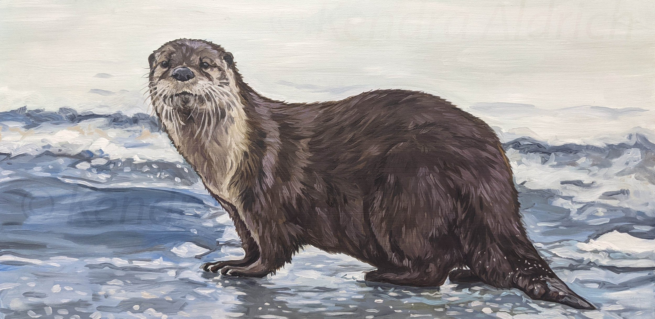 Otter Old C.jpg