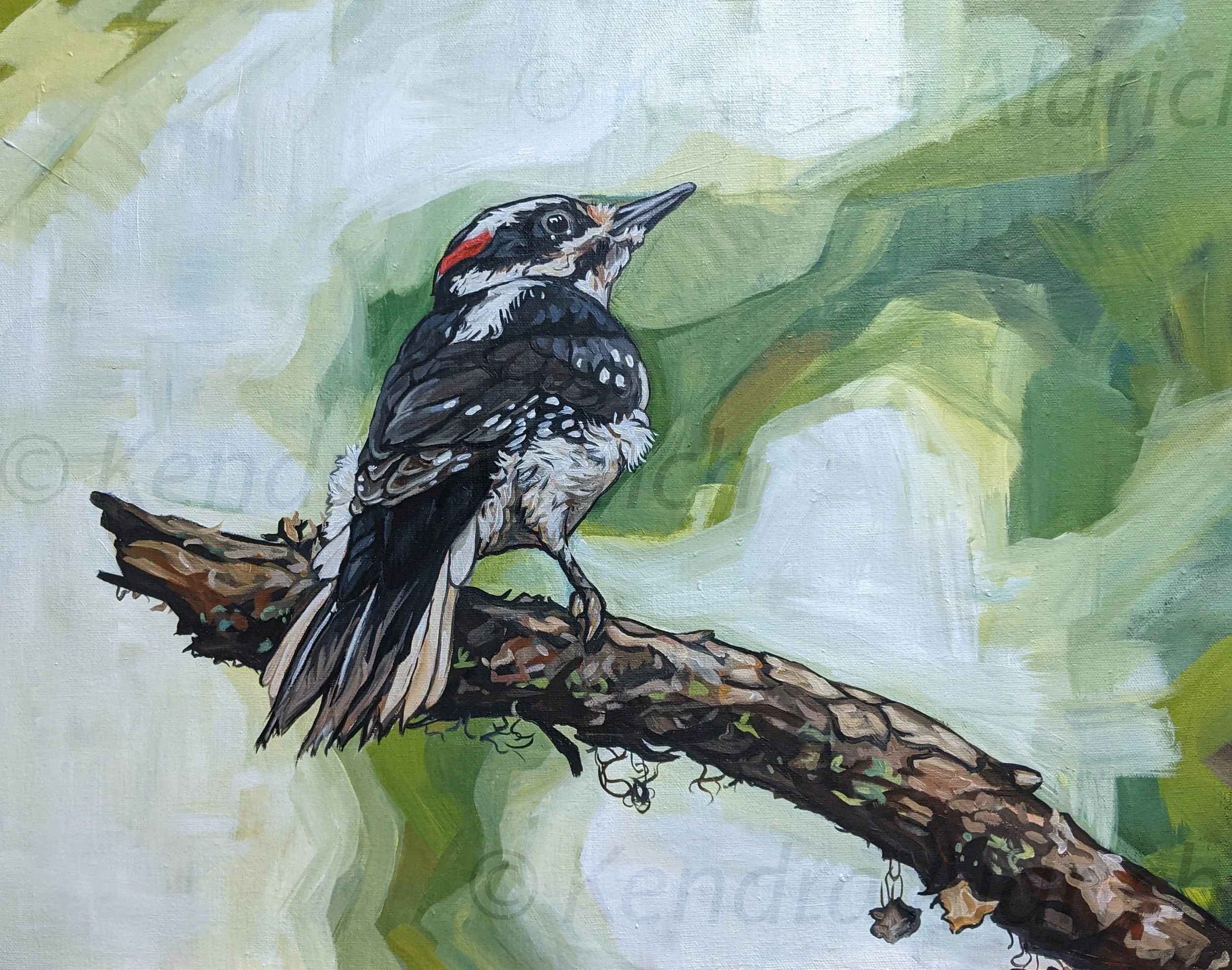 Woodpecker c.jpg
