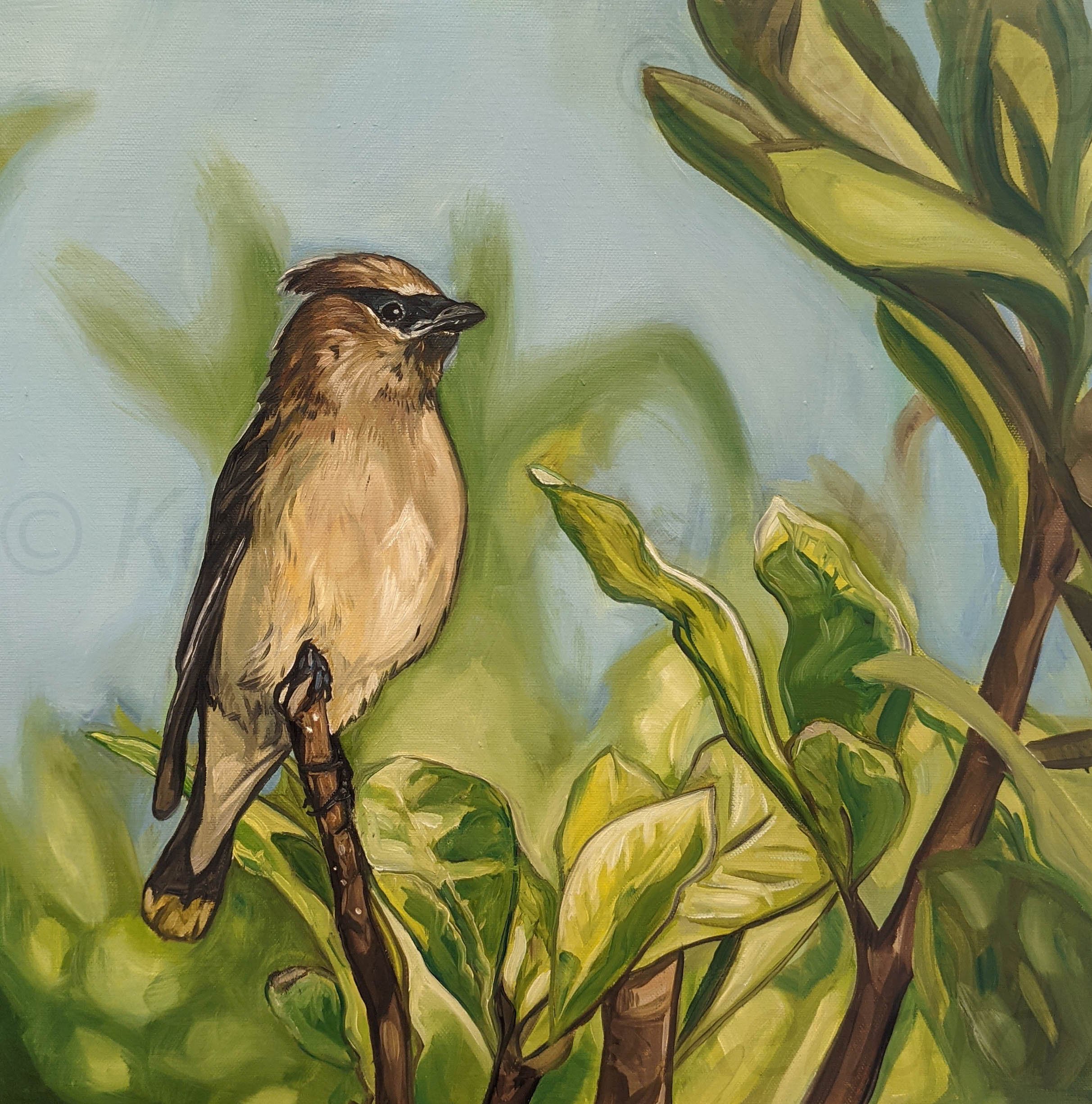 Wax Wing C.jpg