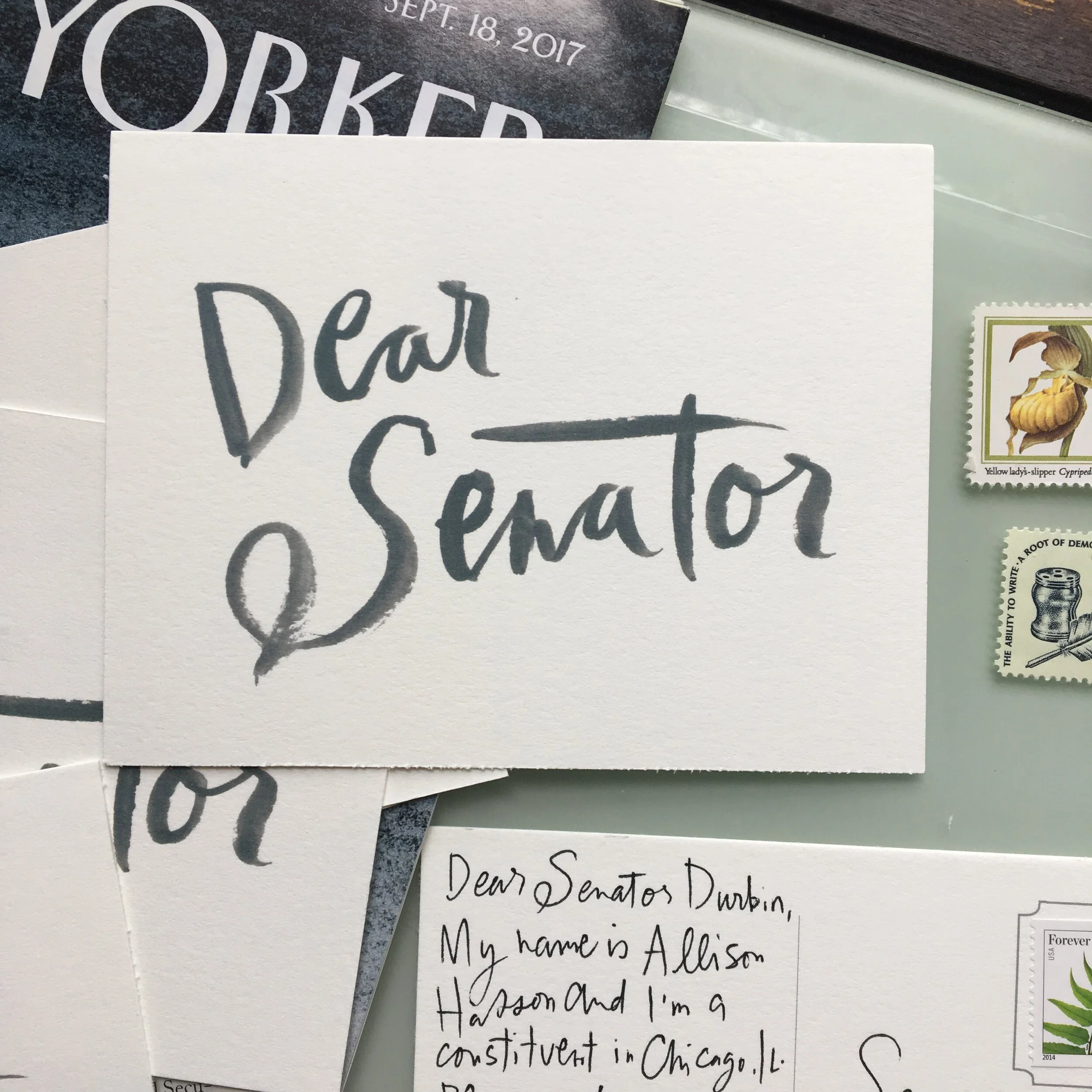 Dear Senator/Dear Representative Postcards