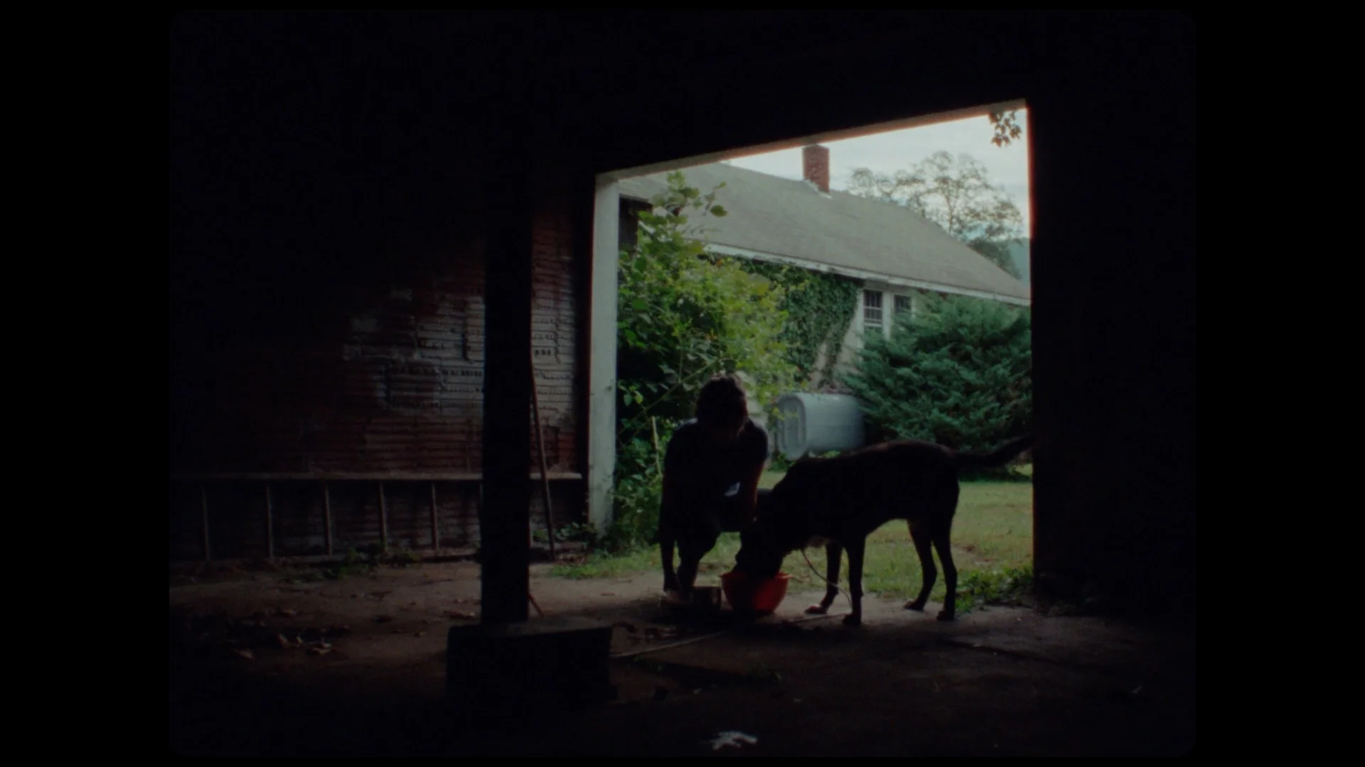 Strays 06.jpg