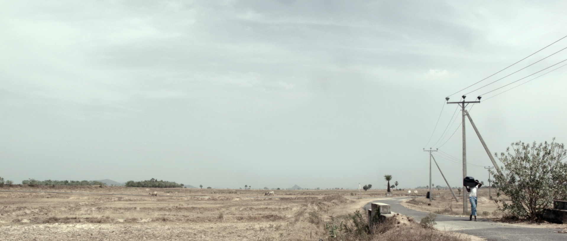 The Joyous Farmer - by Hiran Balasuriya