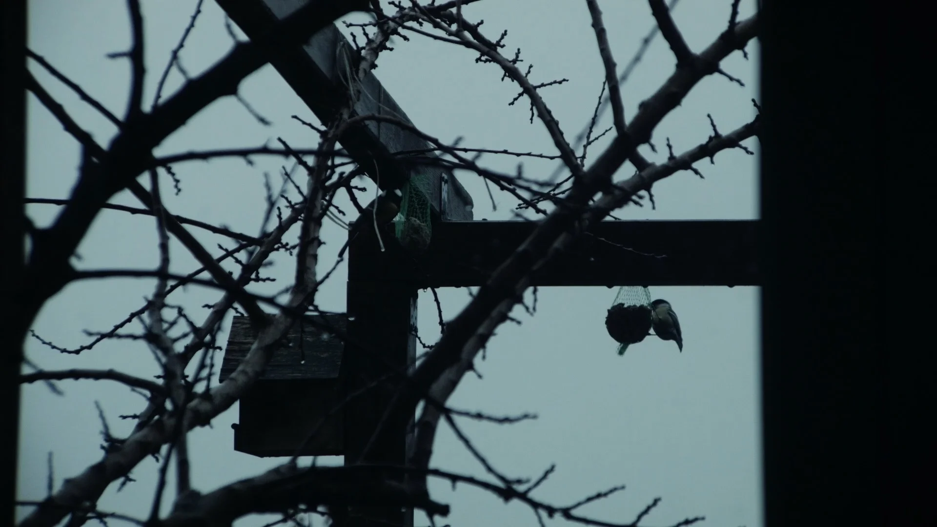 Color of November 06.jpg