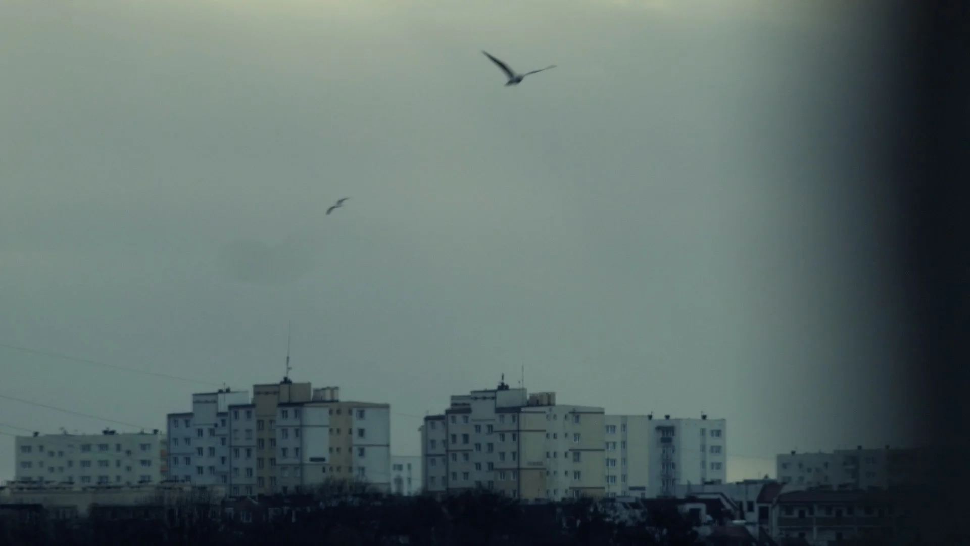 Color of November 02.jpg