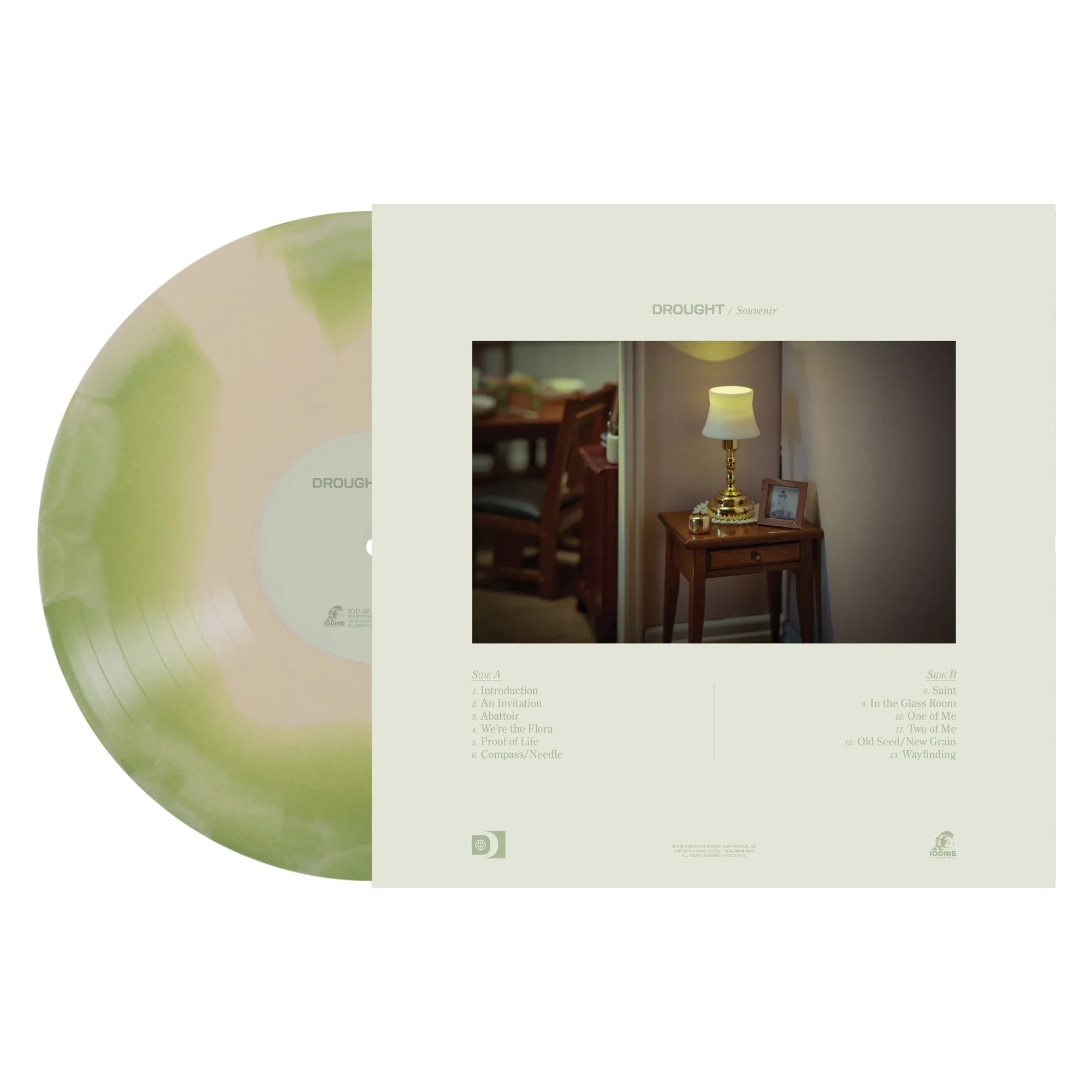 Left DROUGHT-Souvenir-Vinyl-BoneandMossMarbled_2000x.jpg