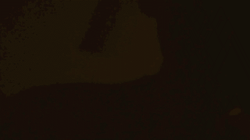 tumblr_mbla0w0iCP1qabm8do1_500-1.gif