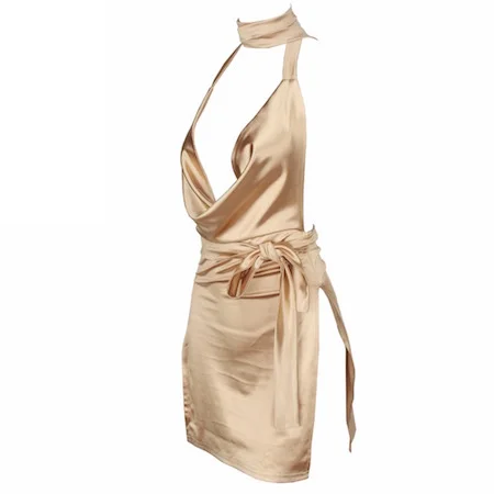 PinkPlasticCeciliaGoldDressSide.jpg