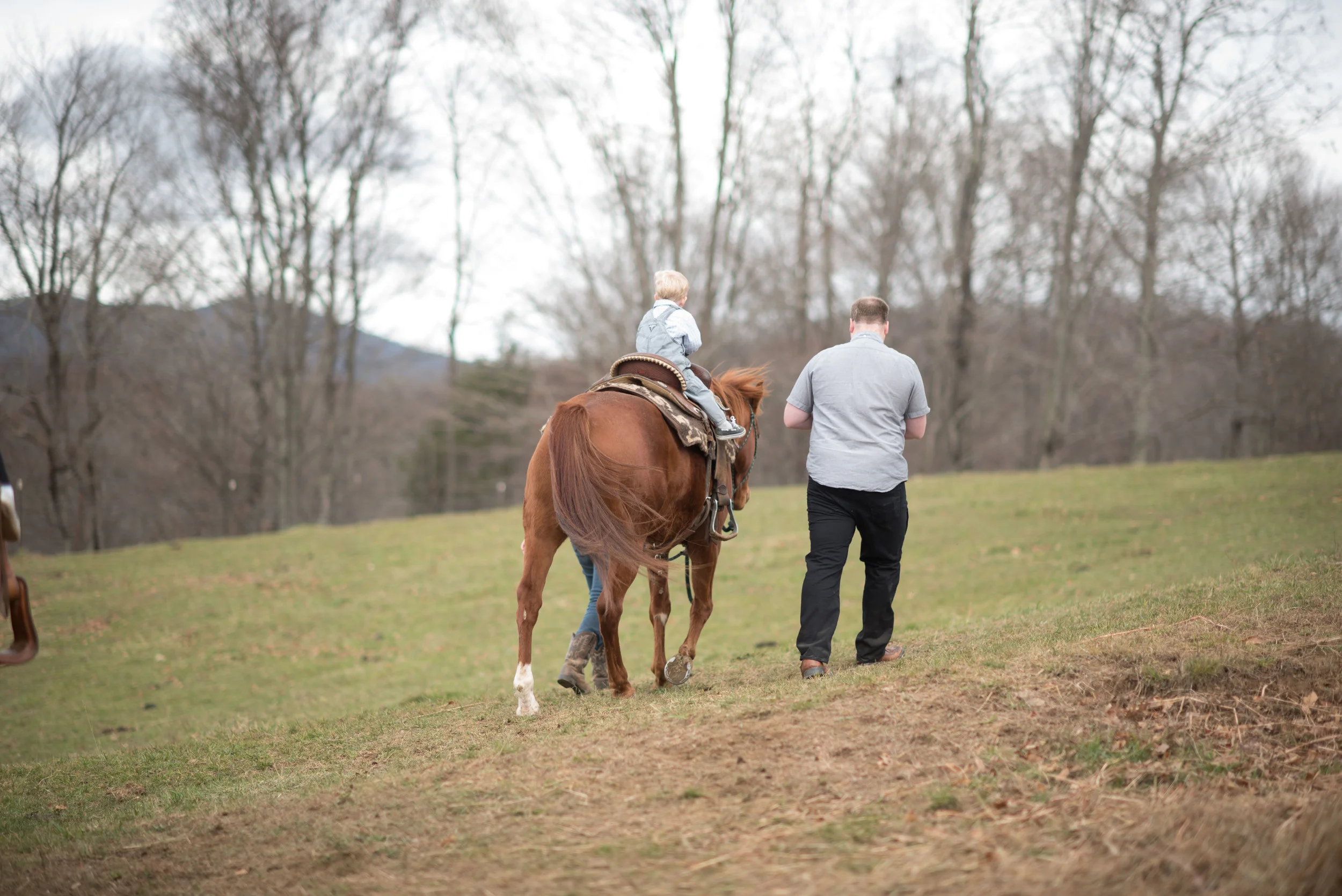 boone 2015-0059.jpg