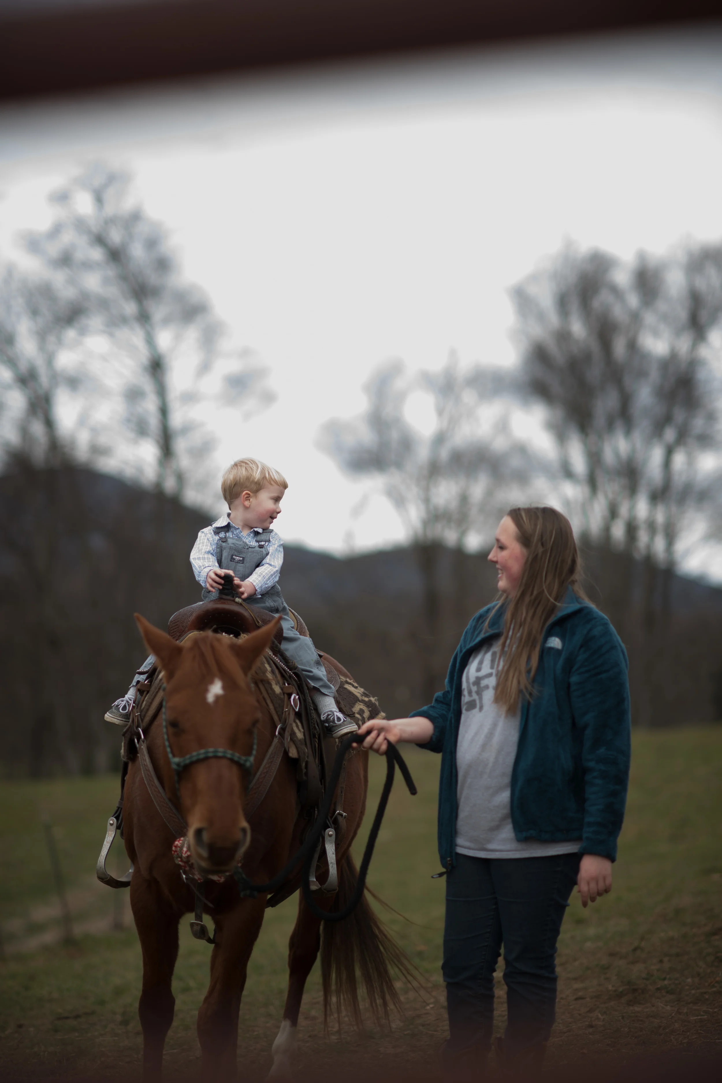 boone 2015-0063.jpg