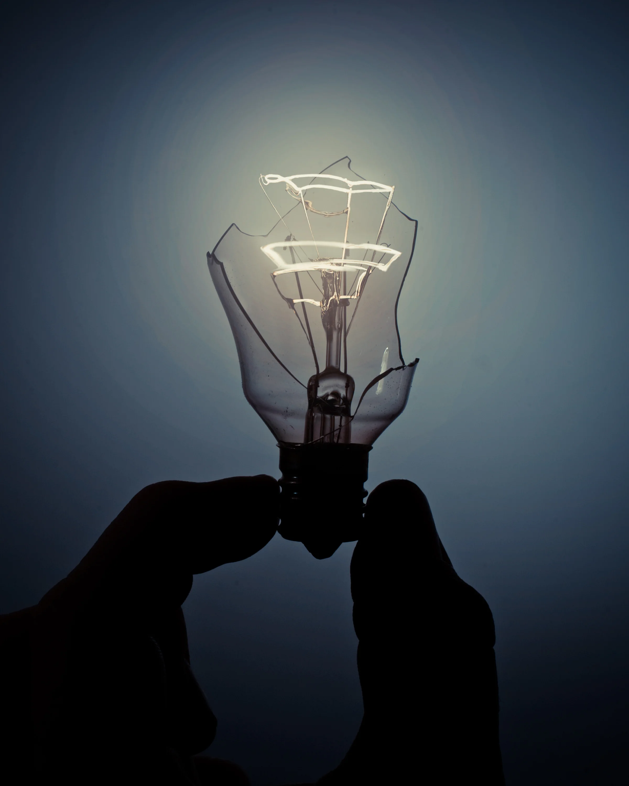 bulb.jpg