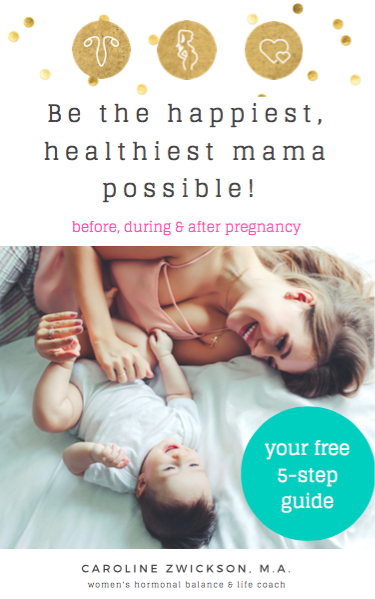 Cover- healthy happy mama guide.png