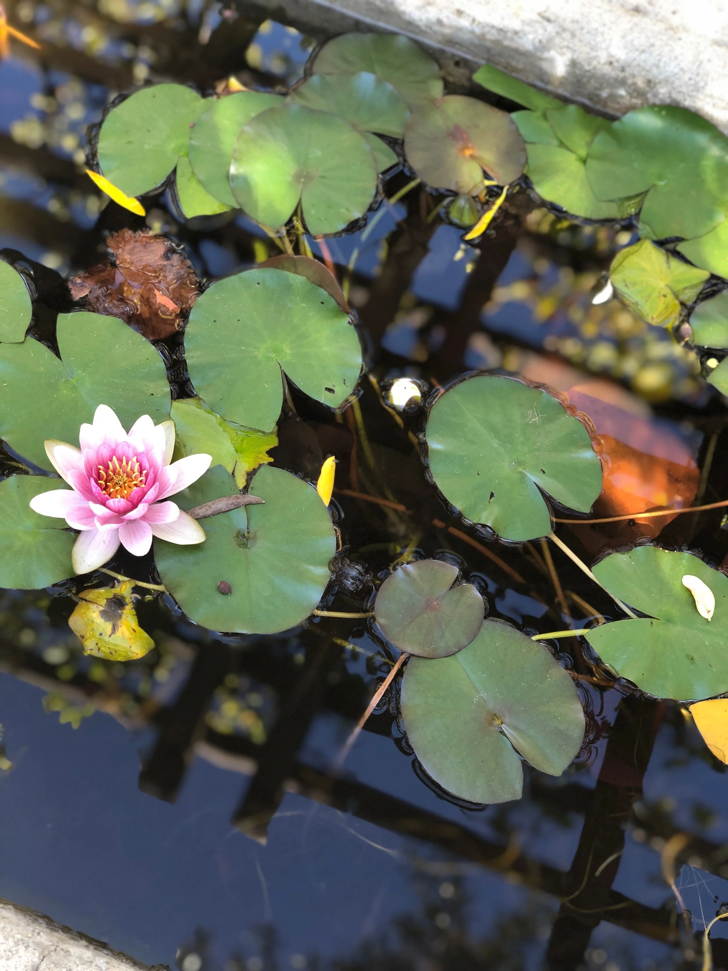 You are always being guided. Even when it doesn't feel like it.