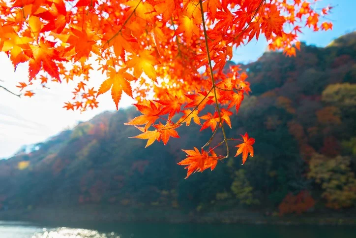 Are you seeking happiness in the wrong places?