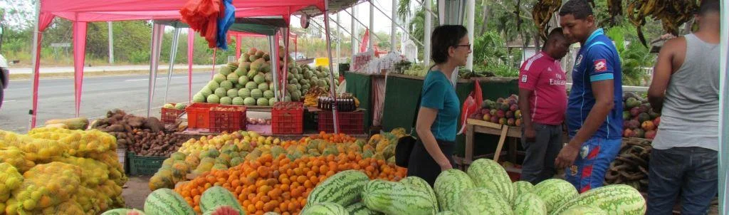 Winter living in Panama is sweet for Peter Regan and Aviva Schneider.