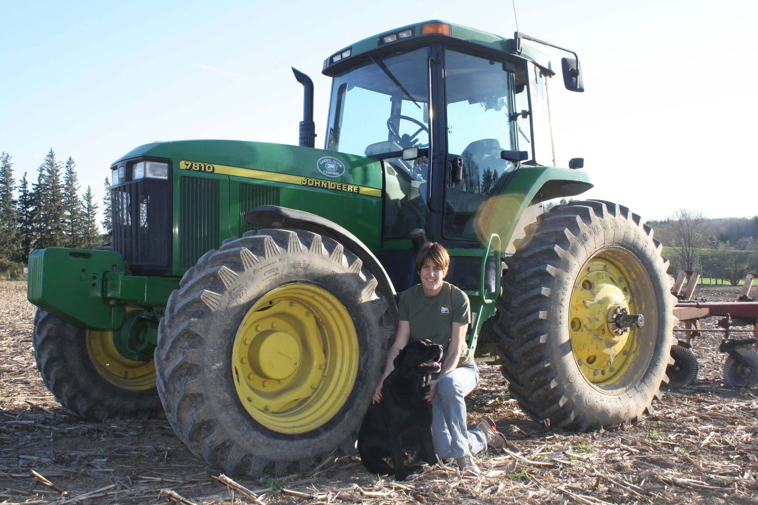 Laura Tenney, Making Hay While the Sun Shines.