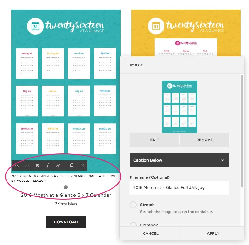 How to Add Alt Text to Images in Squarespace | Step 4