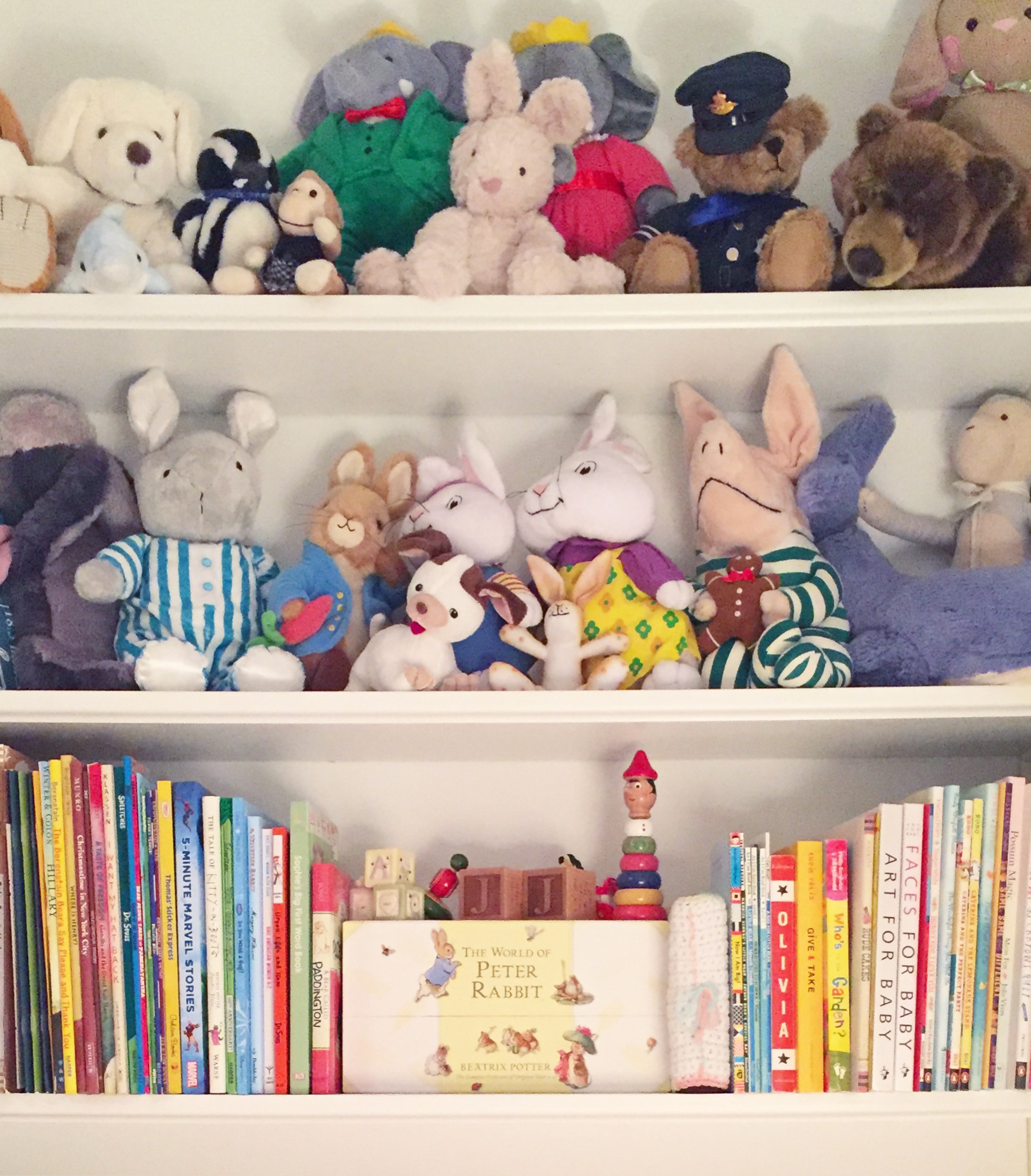 Henry & Higby_Organized Bookcase.JPG