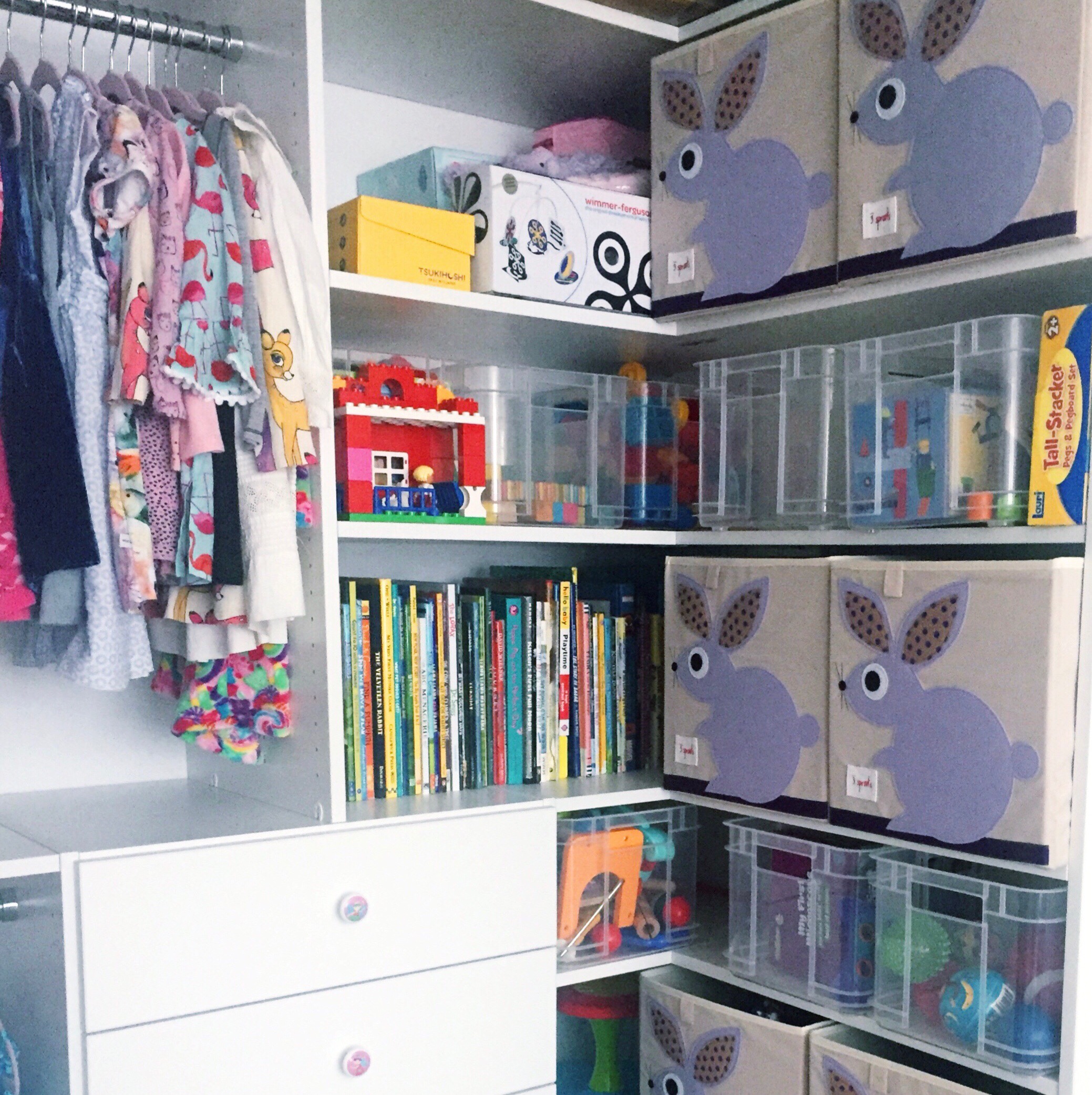 Henry & Higby Closet Organization Clothing and Toys.JPG