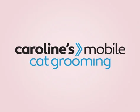 carolyn's cat grooming