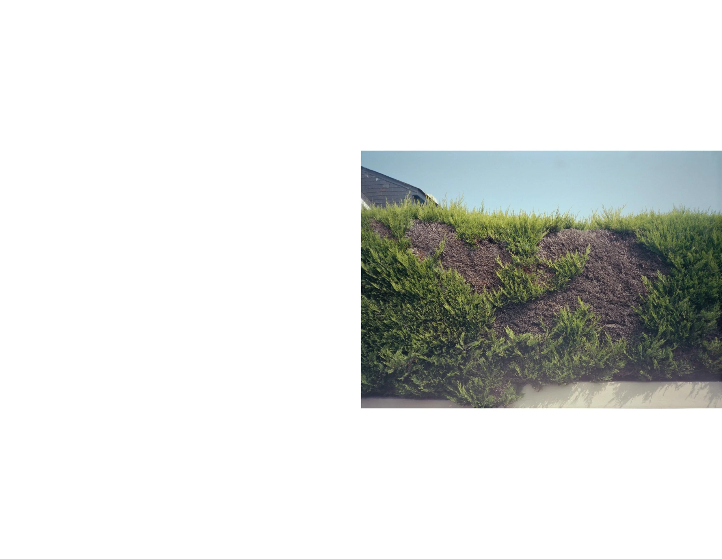 Project 1_Page 3.jpg