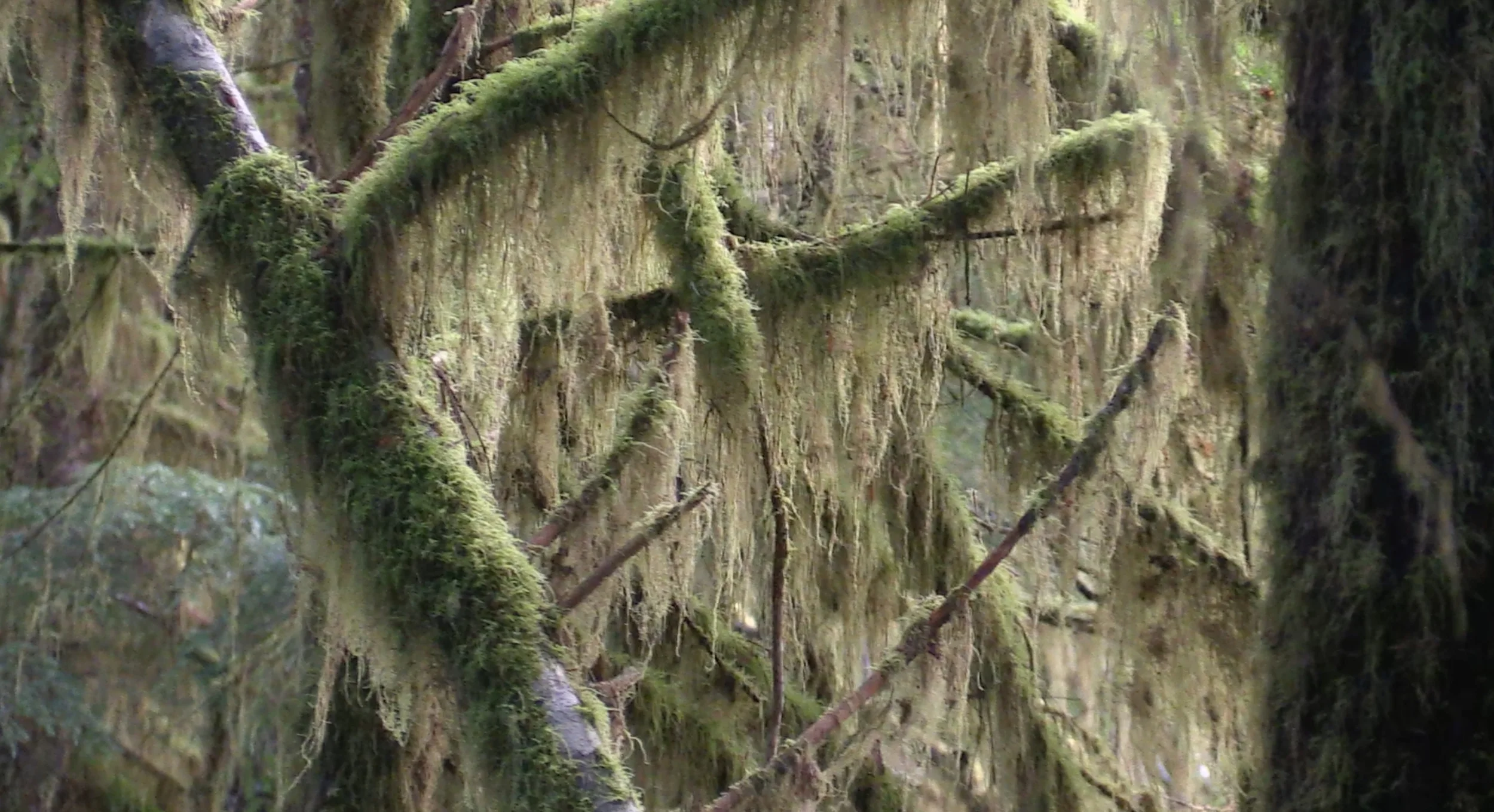 A very special place