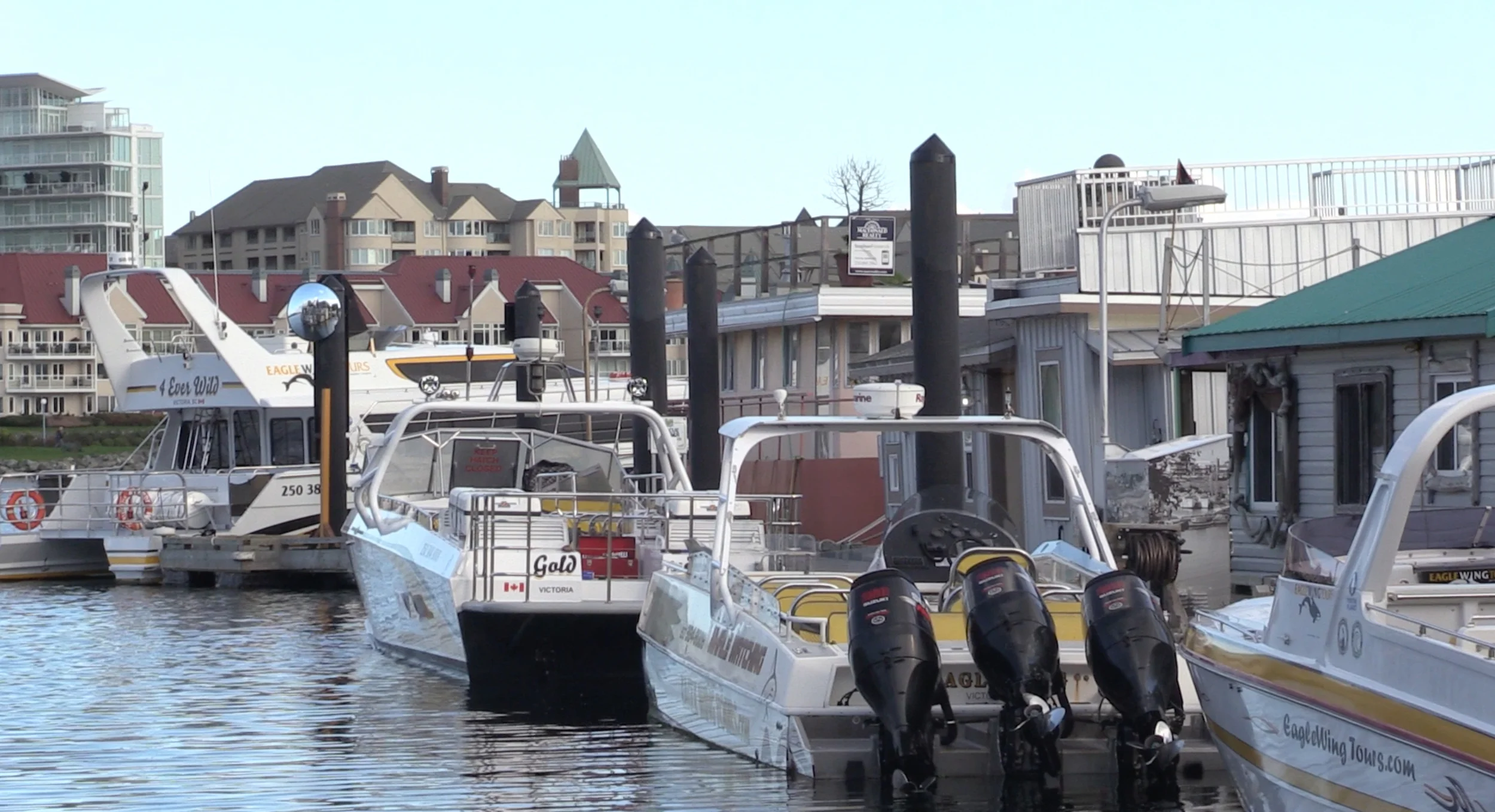 Eagle Wing whale watching boats