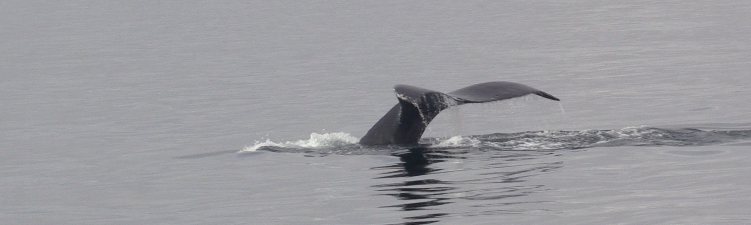 An amazing day on the water