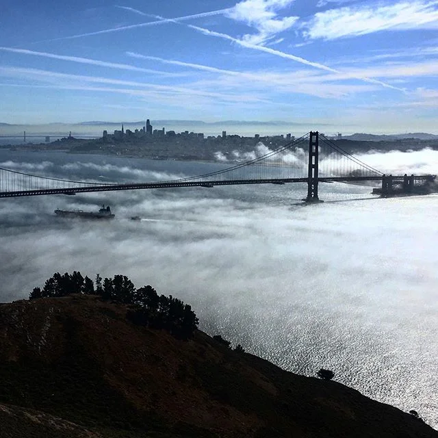 The fog yesterday was incredibly dramatic from Hawk Hill. I played with filters here a bit to adjust for the glare - sometimes a scene is just too big for a smartphone camera. You gotta come see it for yourself!