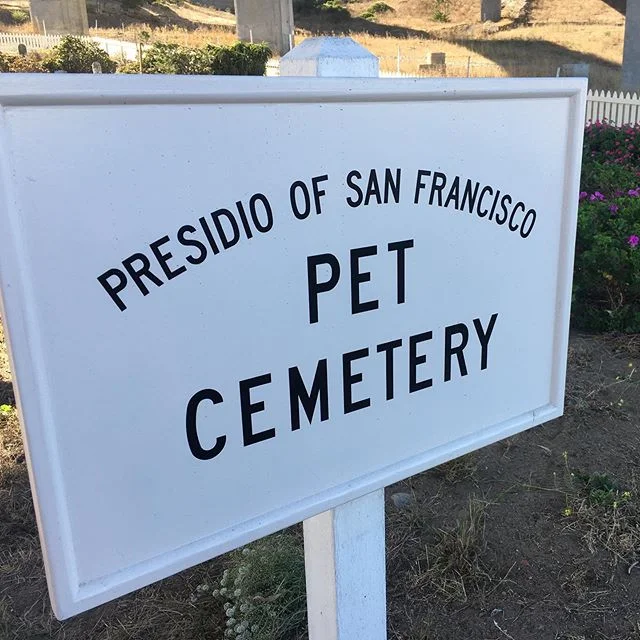 The Presidio Pet Cemetery is finally reopened after years of Doyle Drive construction! Some of these adorable name boards we could see from the road while driving by. Others I had never seen before. The base veterinarian&rsquo;s office laid this out 