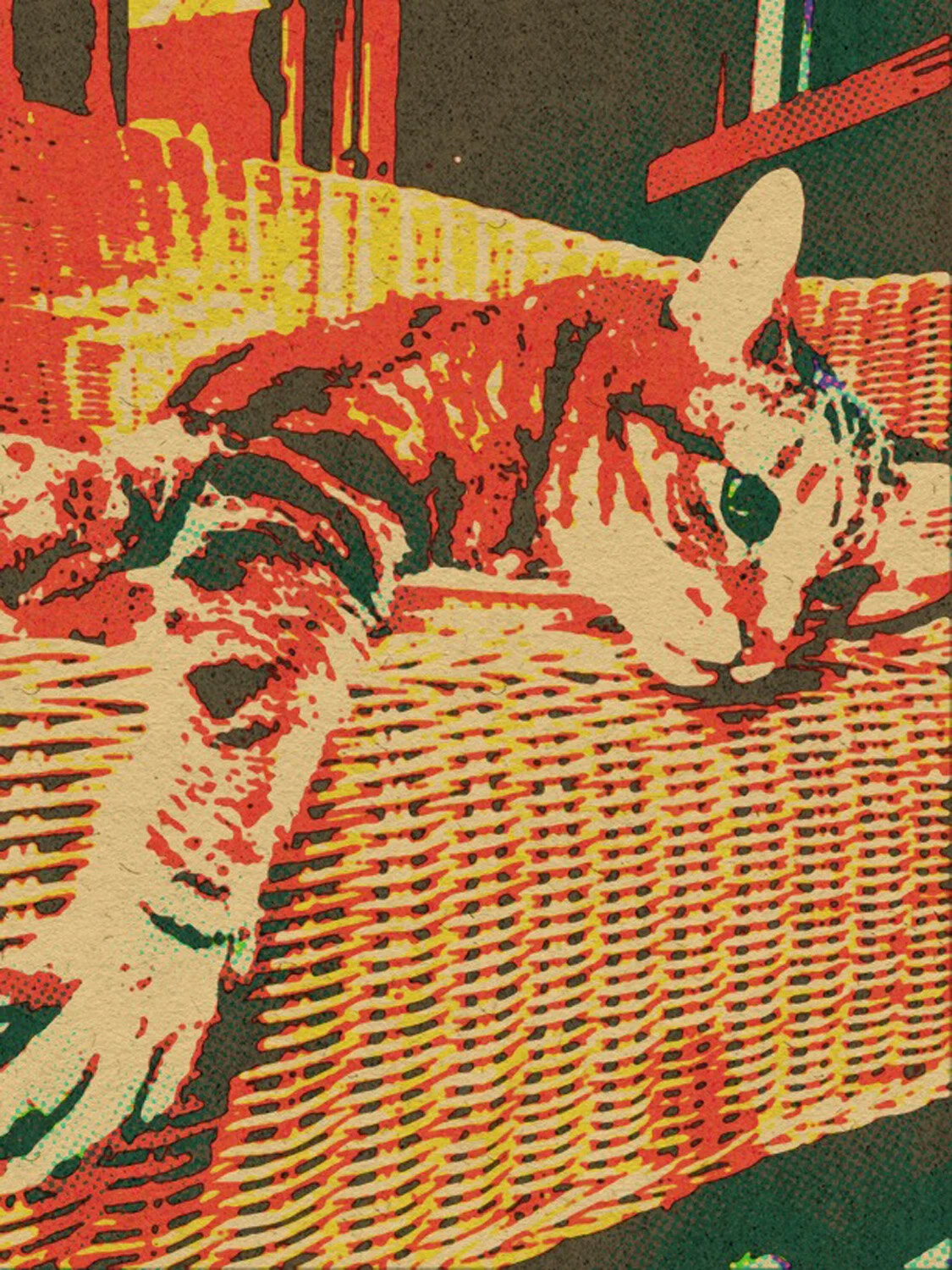 CATS