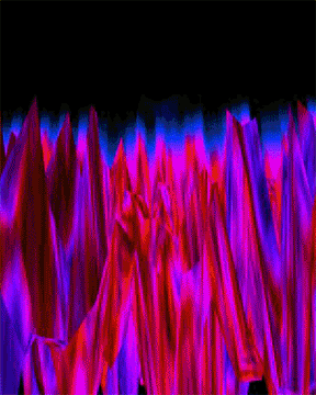 IMG_1365_d.gif