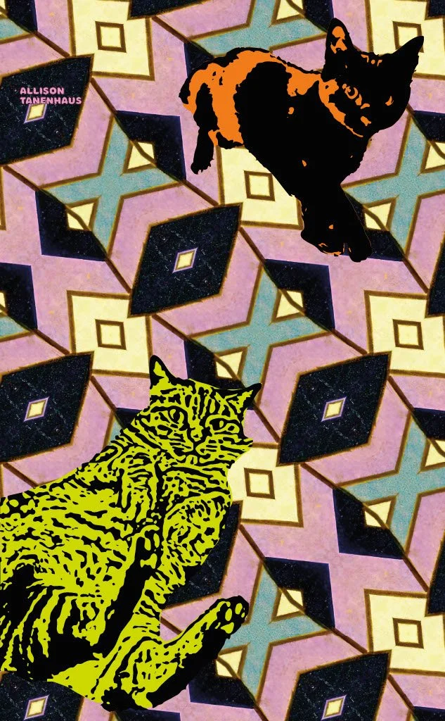 1739147539178-454aae5c-ab23-4088-968b-618c6f4df33a_2.jpg