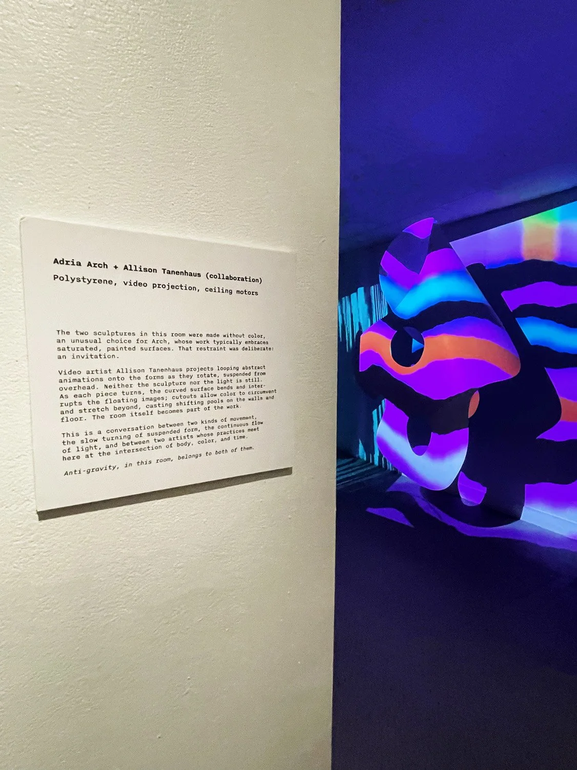 IMG_196305 copy 2.jpg