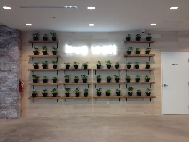 Interior Styling Cafeteria "Live Well" Wall