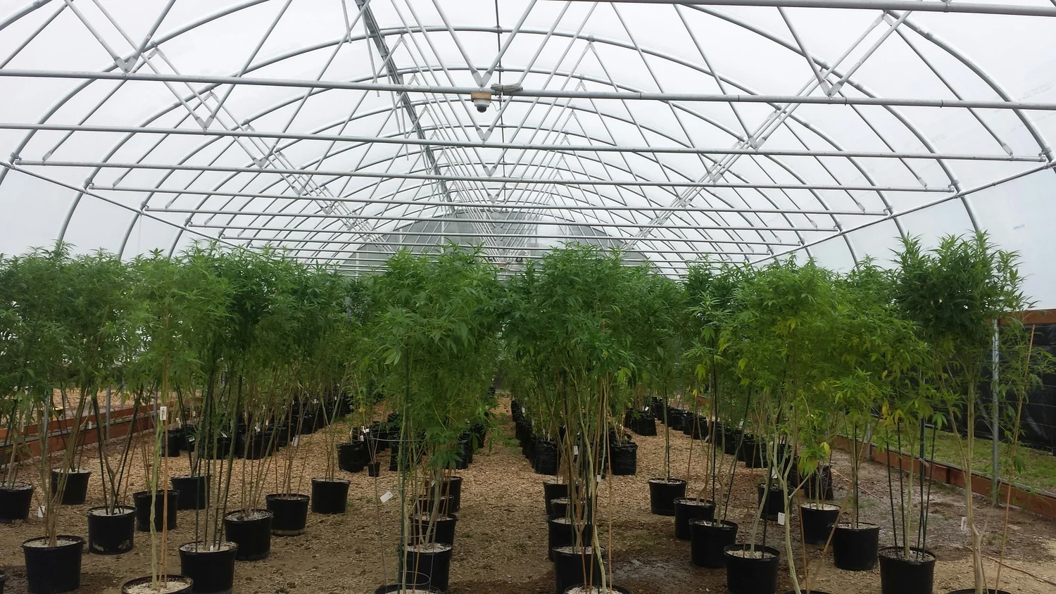 Forbidden Farms - Shelton Washington
