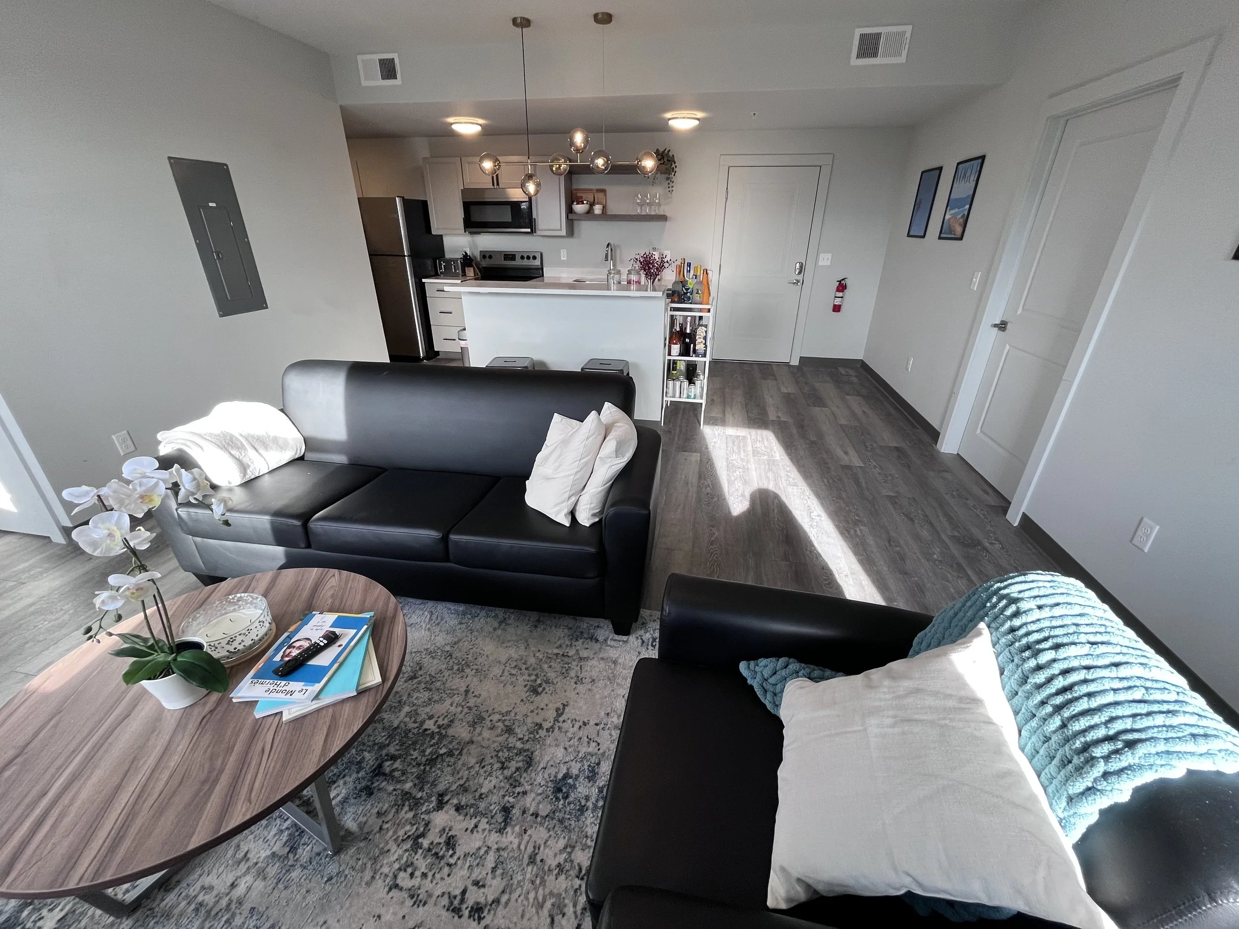 2 bed 2 bath 238 dryden  (14).jpeg