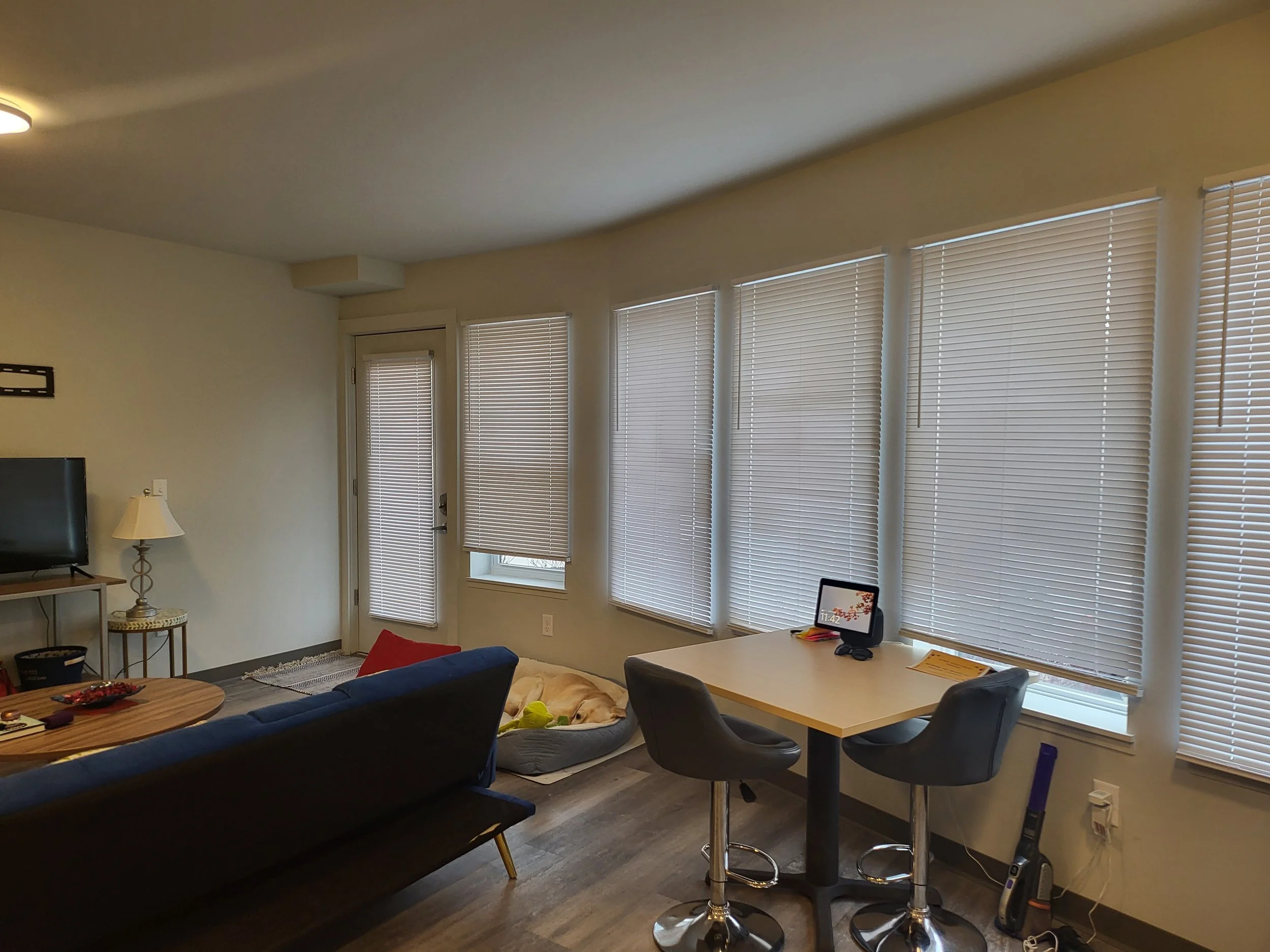 1 bed 1 bath 238 dryden (3).jpeg