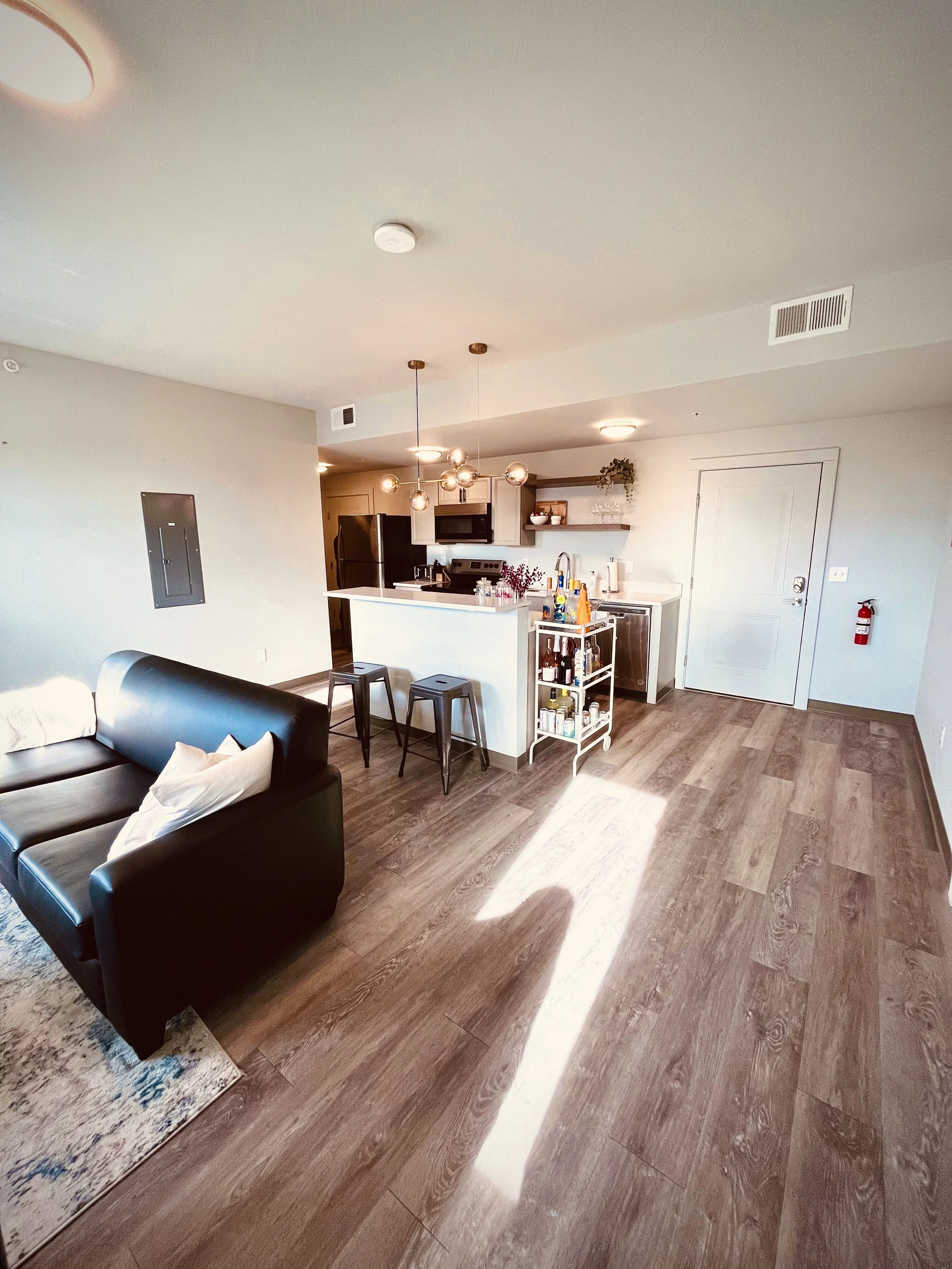 2 bed 2 bath 238 dryden  (12).jpeg