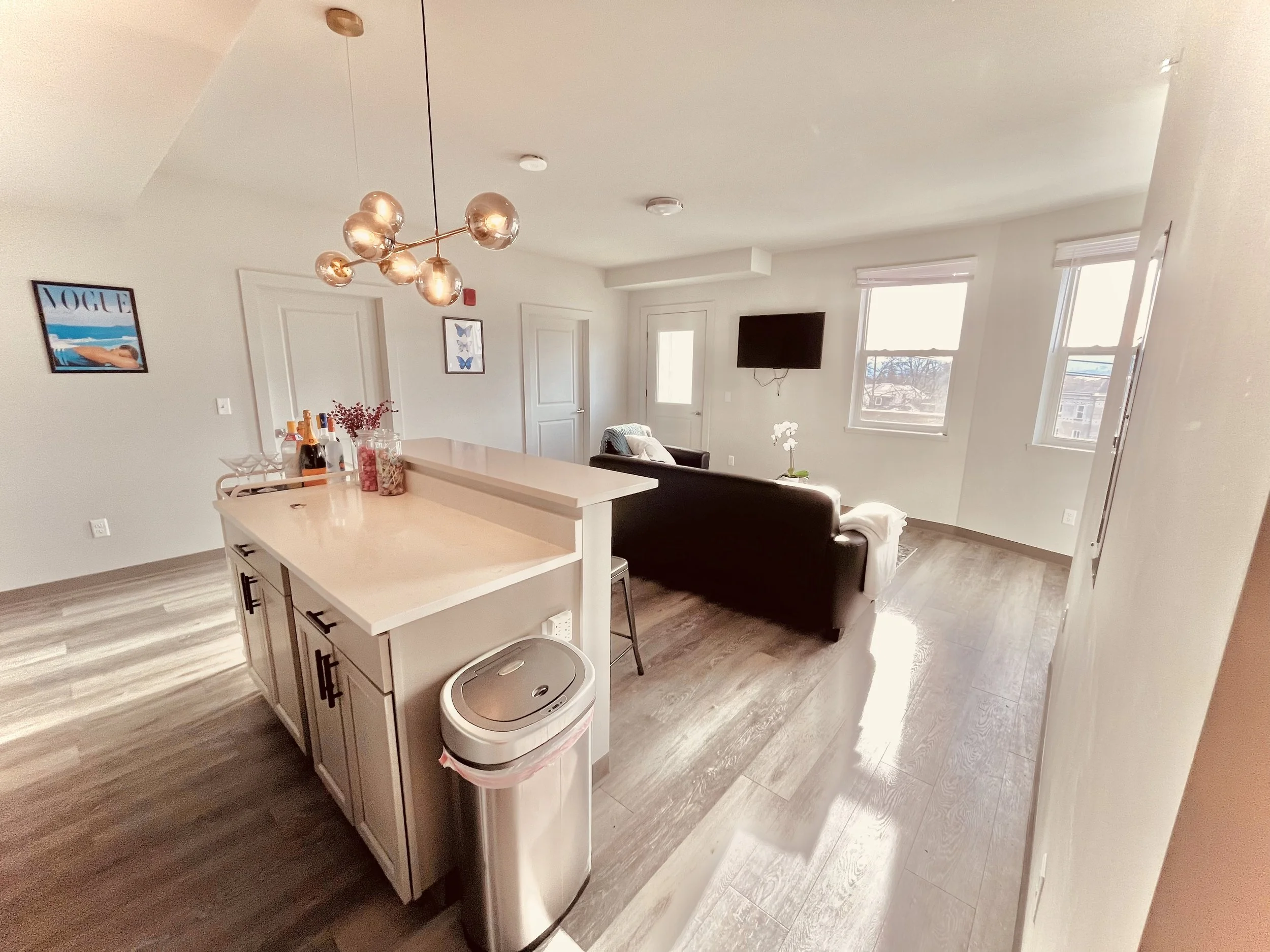 2 bed 2 bath 238 dryden  (7).jpeg