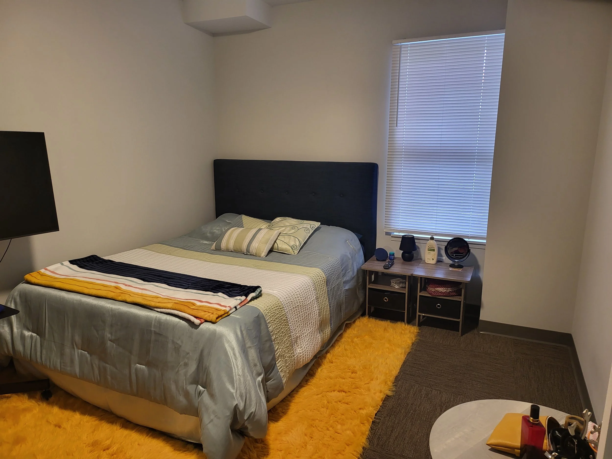 1 bed 1 bath 238 dryden (4).jpeg