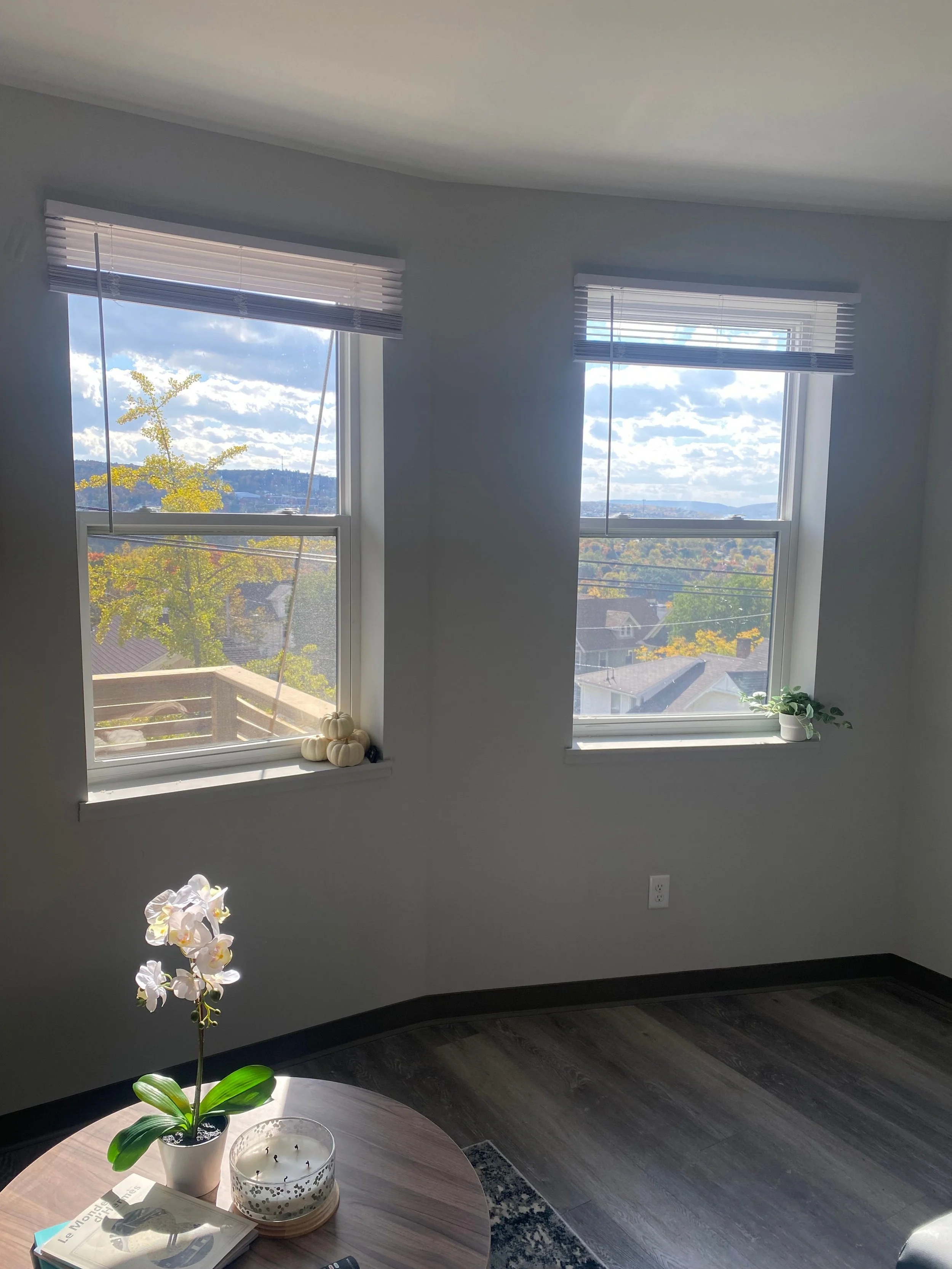 2 bed 2 bath 238 dryden  (3).jpeg