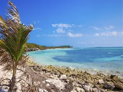 caribe.jpg