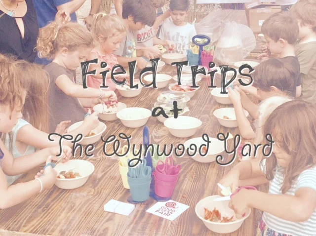 Field TRips.jpg